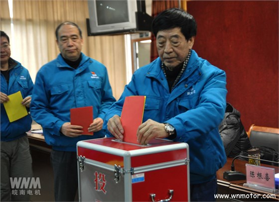 皖南電機(jī)陳根喜、管兵在投票現(xiàn)場(chǎng)