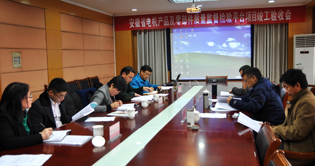 驗收專家組查閱相關資料并質(zhì)詢（皖南電機）